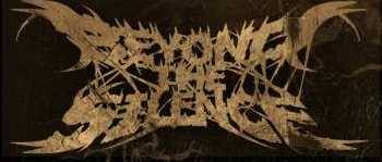 logo Beyond The Silence